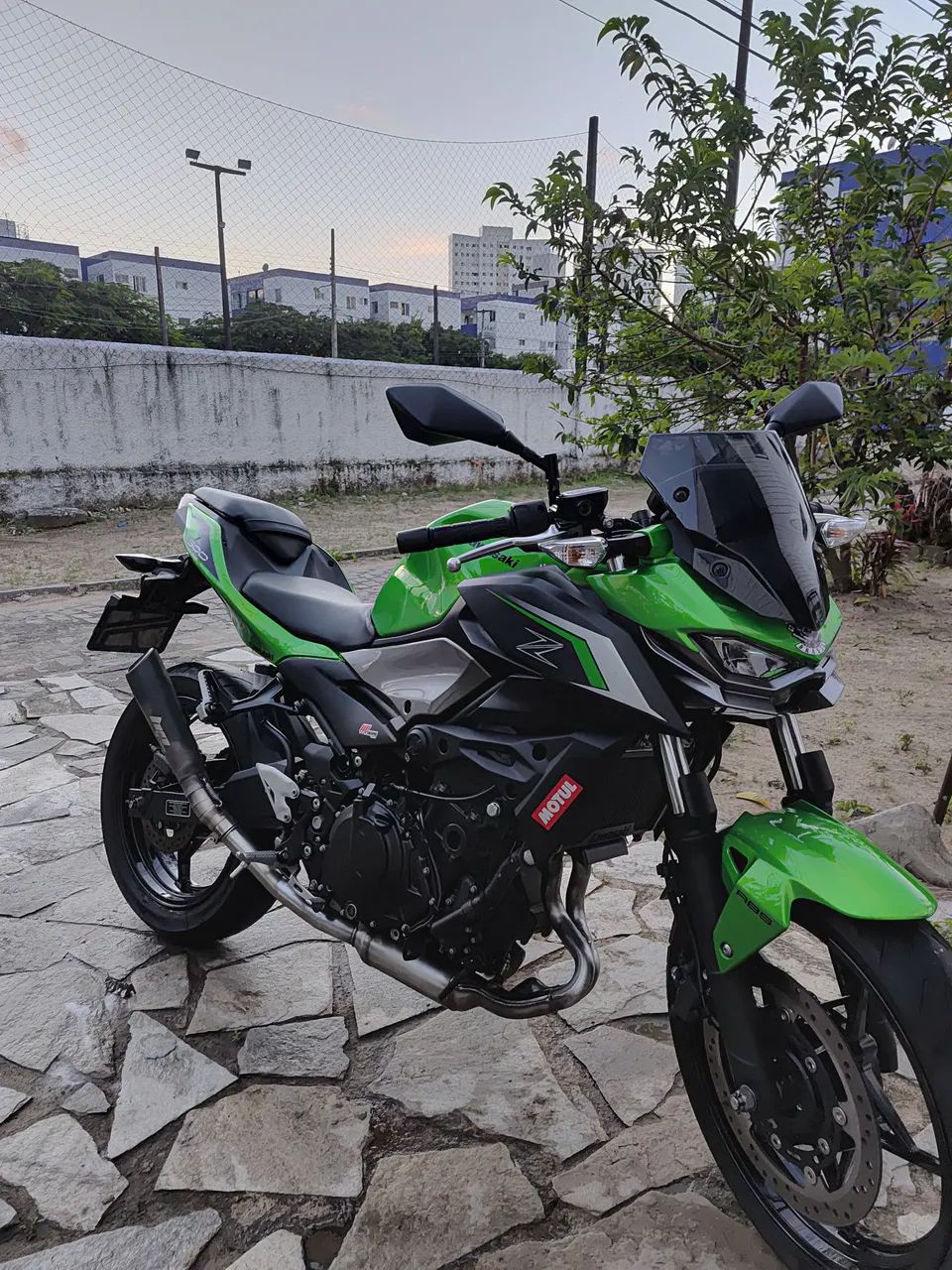 Z 500 2025 - 1515232297 | OLX