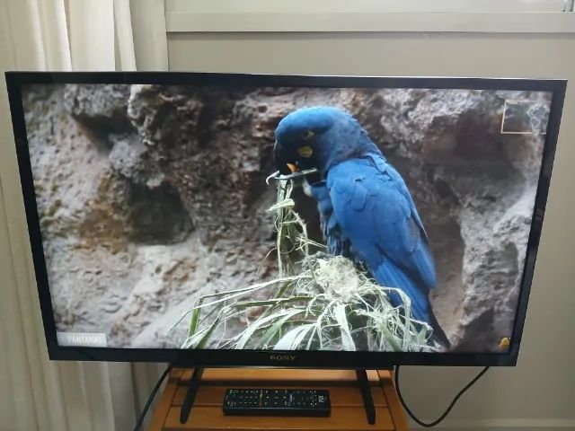 TV SONY 32 POLEGADAS TELA DE LED HD