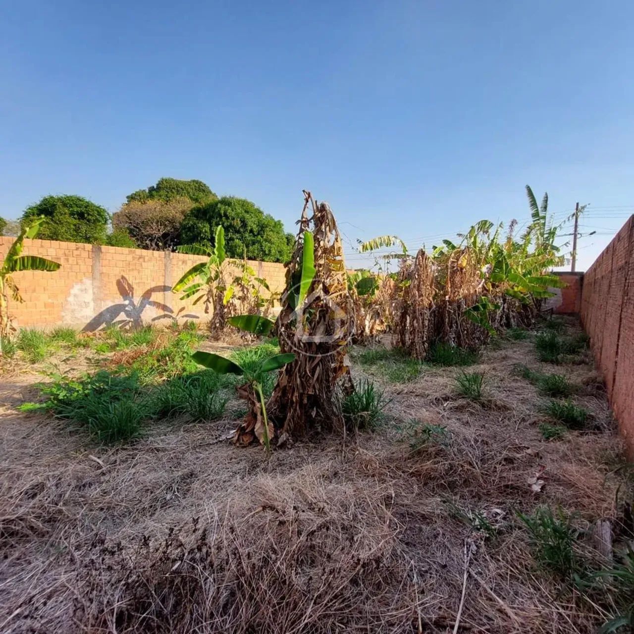 LOTE MURADO 12X30 EM NOVA LIMA - Foto 3