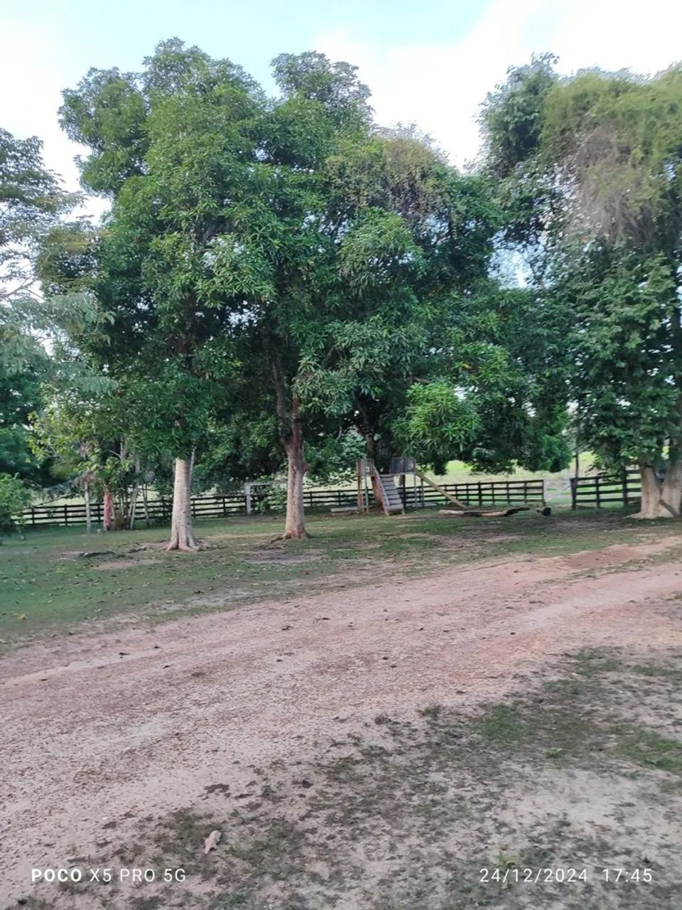 Fazenda em São João da baliza/ RR - Foto 3