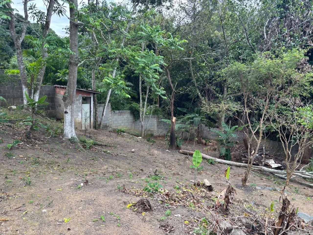 Chacrinha 600m2 - Foto 4