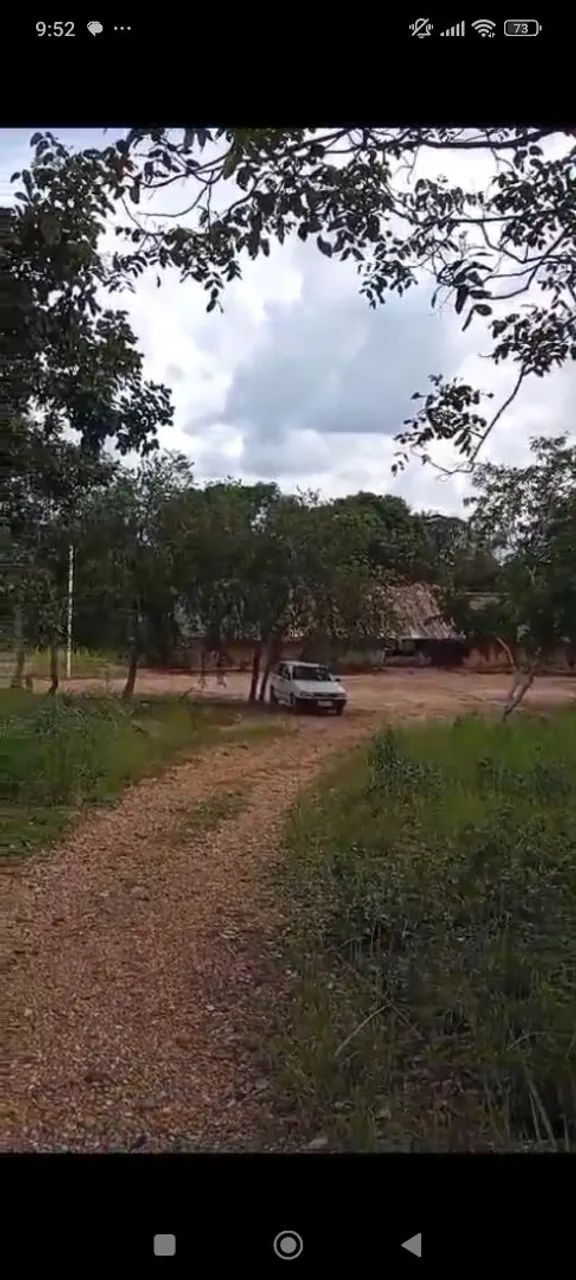 Vendo uma terra município d rio dos bois s - Foto 5