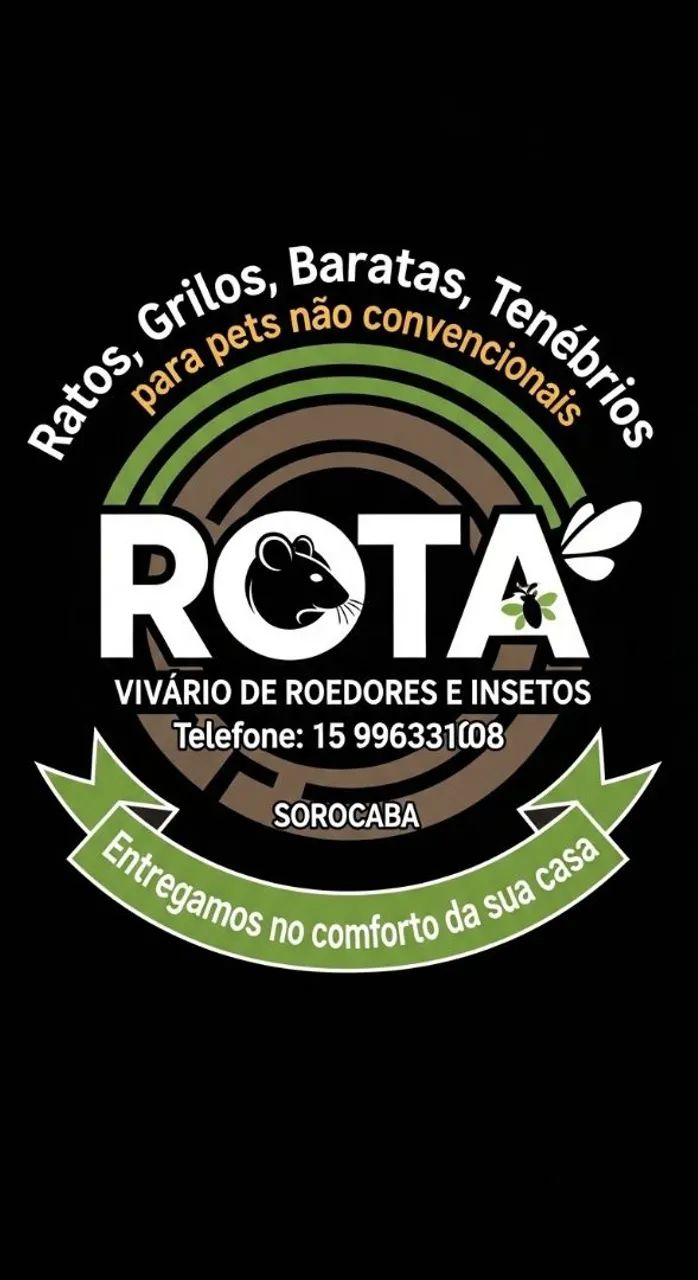 Ratos e insetos  - Foto 4