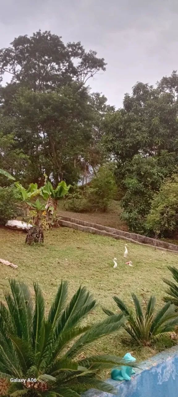 Aluga se chácara na cidade de socorro  - Foto 3