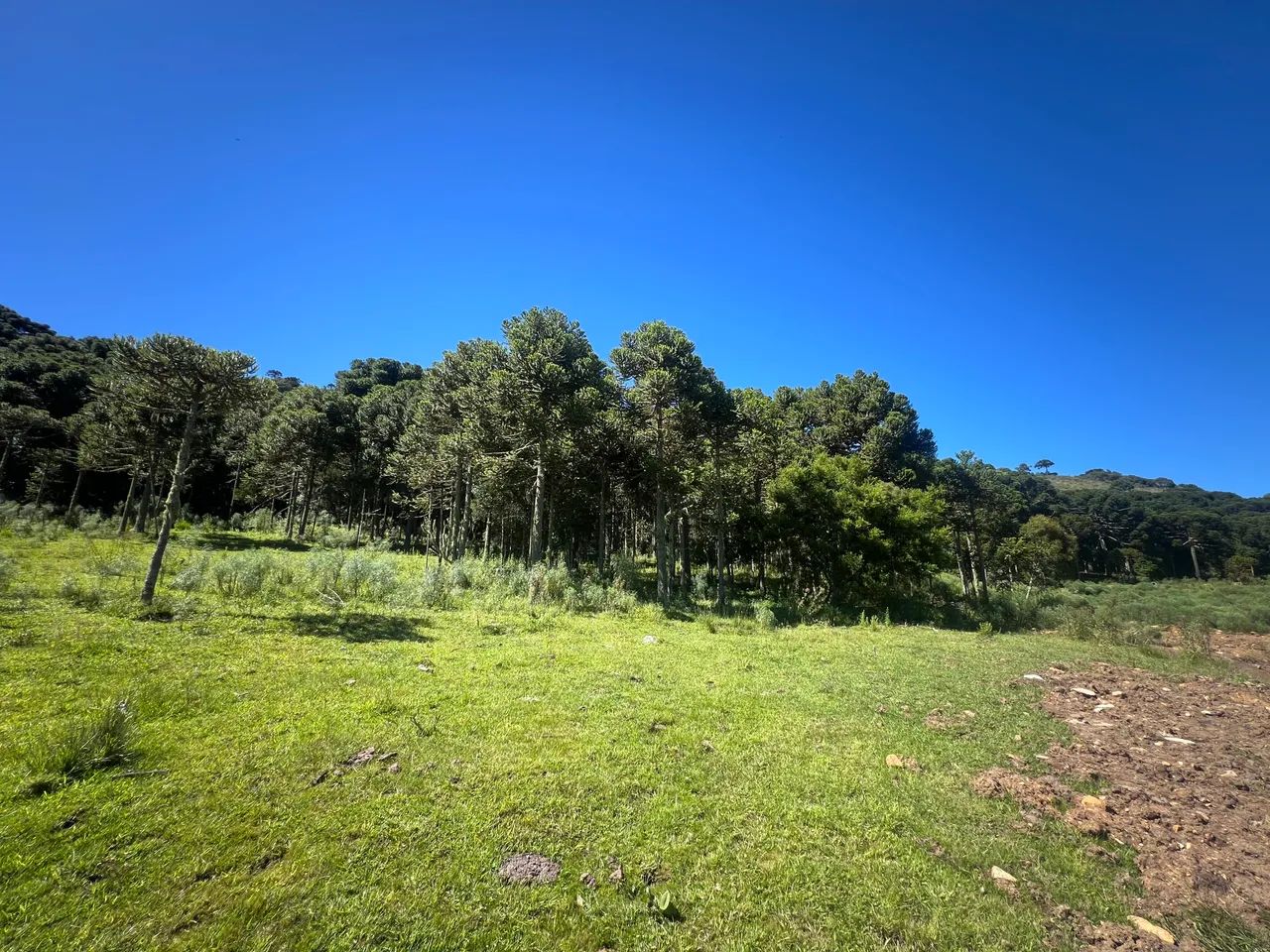 Terreno com açude e vista em Urubici SC - Foto 2