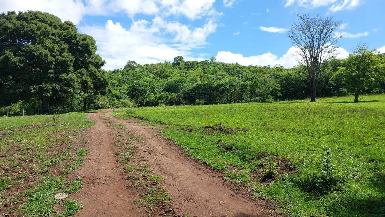 Vendo chácara  - Foto 4