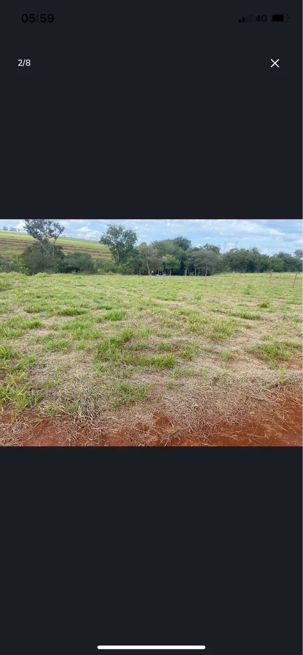 Vendo Chacra com córrego -Campo Grande  - Foto 5