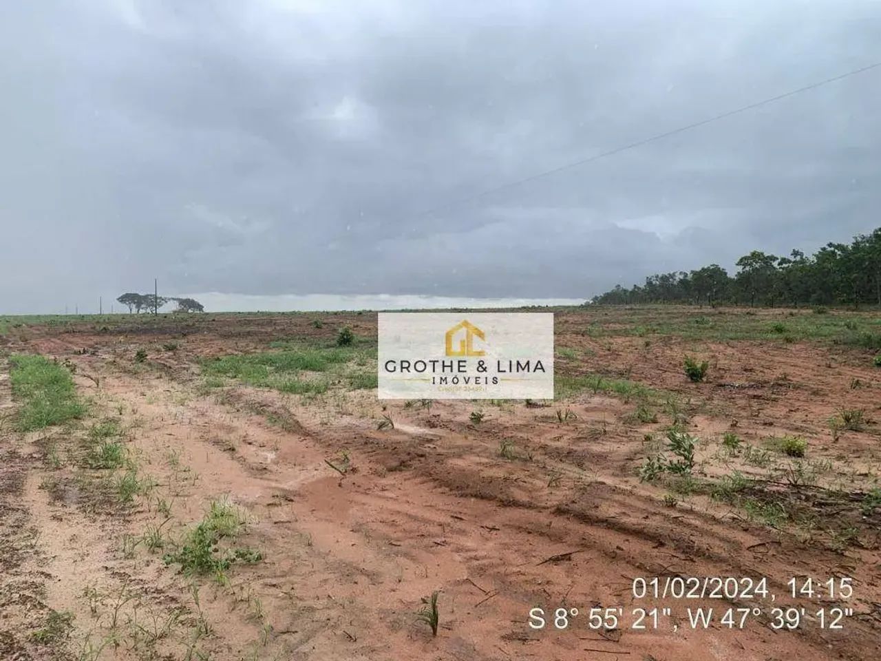Fazenda à venda na Região de Pedro Afonso/TO. - Foto 4