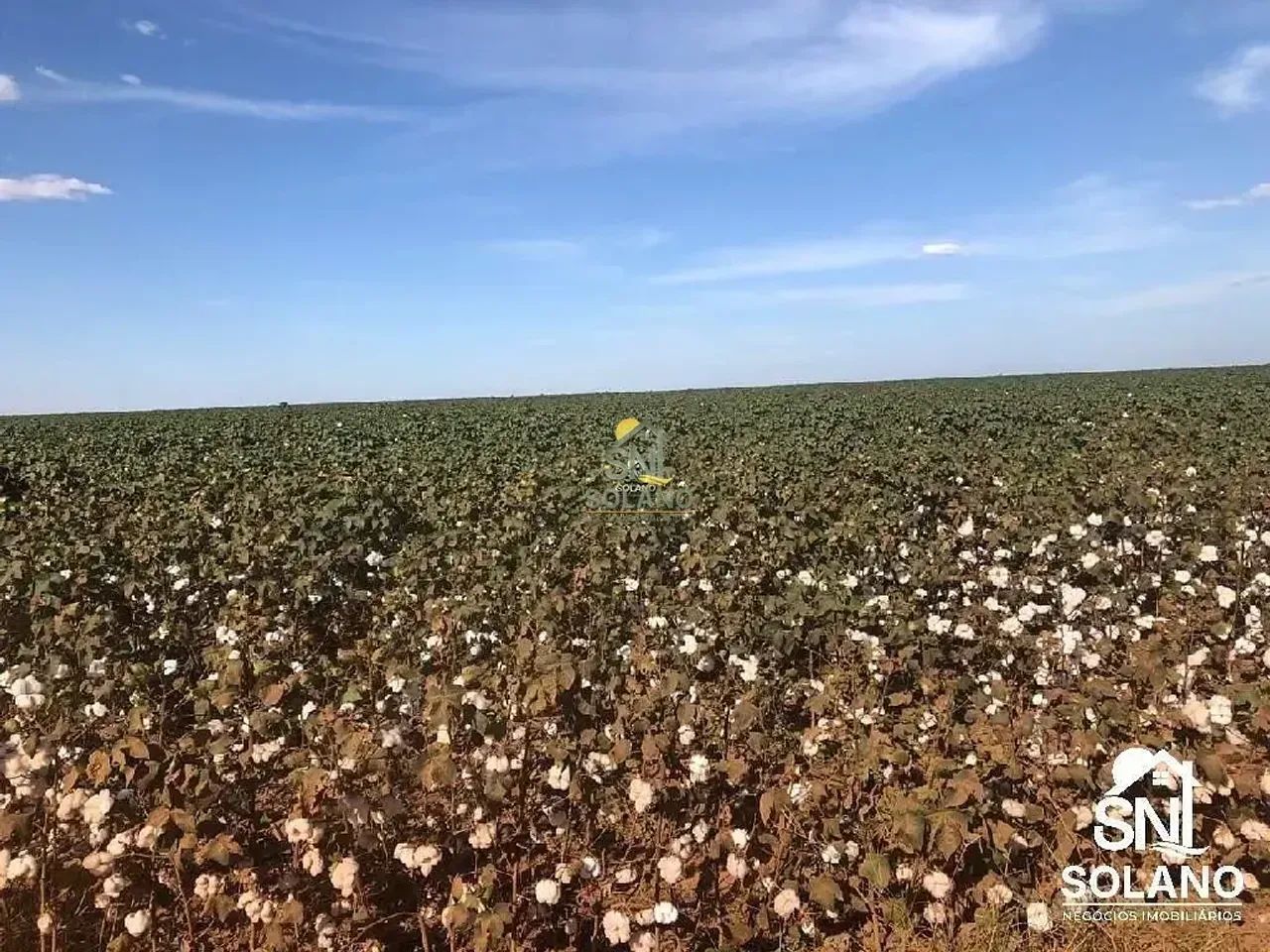 FAZENDA COM FABRICA DE ÓLEOS VEGETAIS EM NOVA MUTU/ MT. - Foto 3