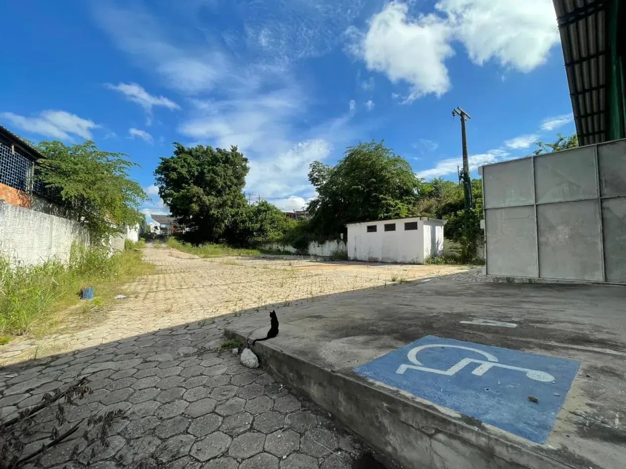 Galpão no distrito - 700 m² com pátio - Foto 3