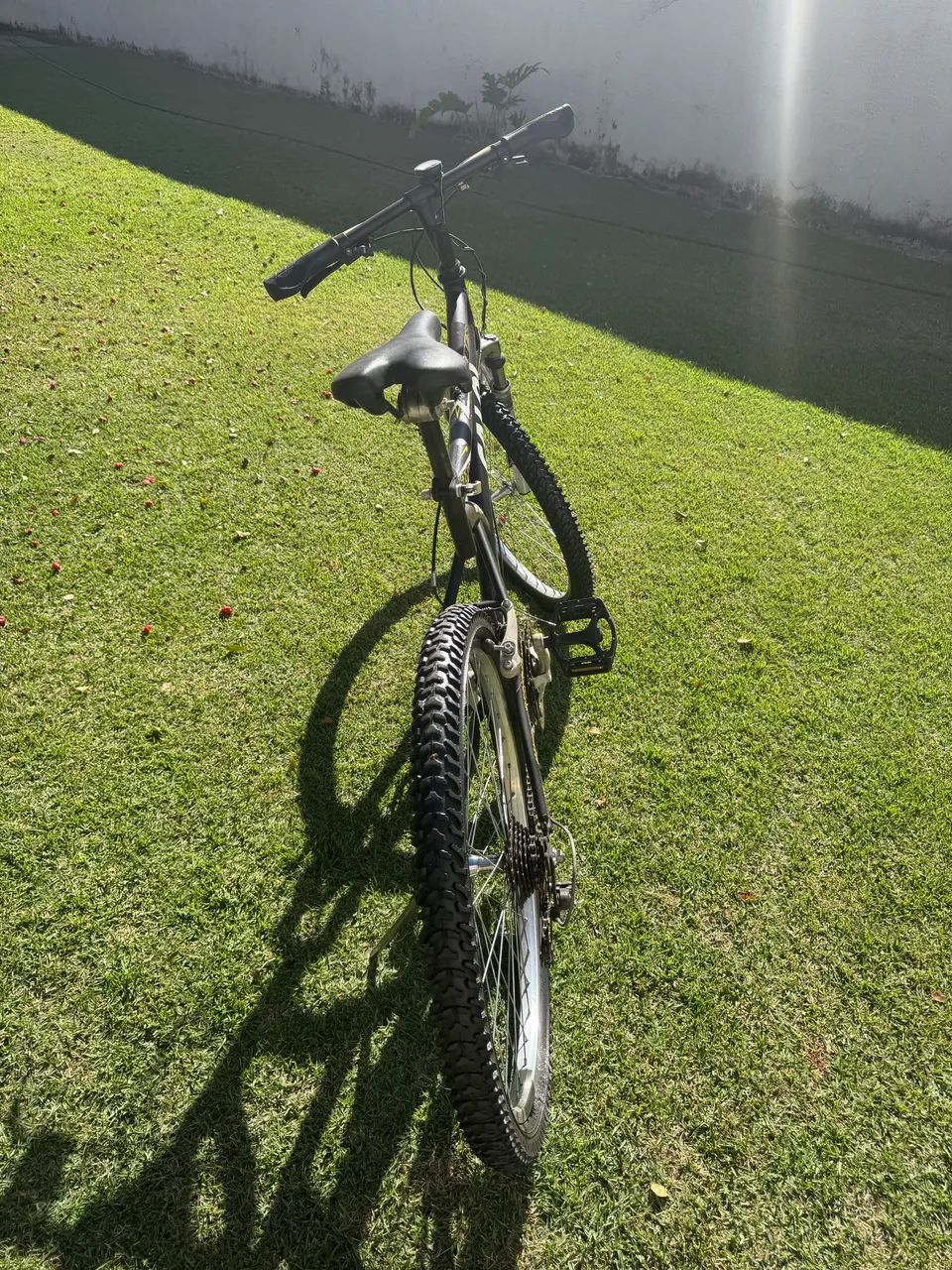 Ciclismo - Foto 2