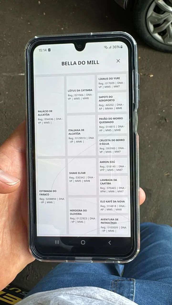 Potra controlada - Foto 3