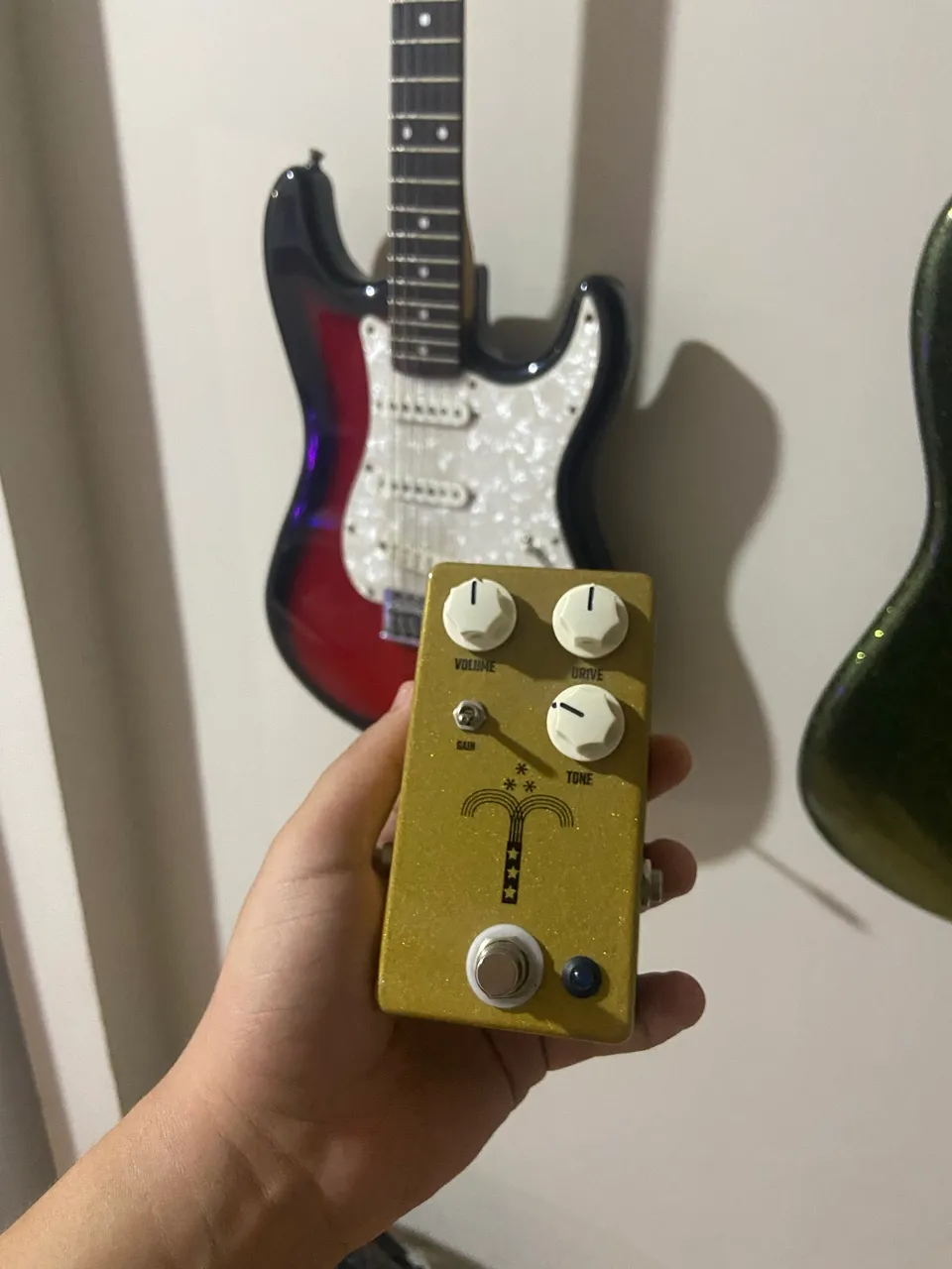 pedal morning glory