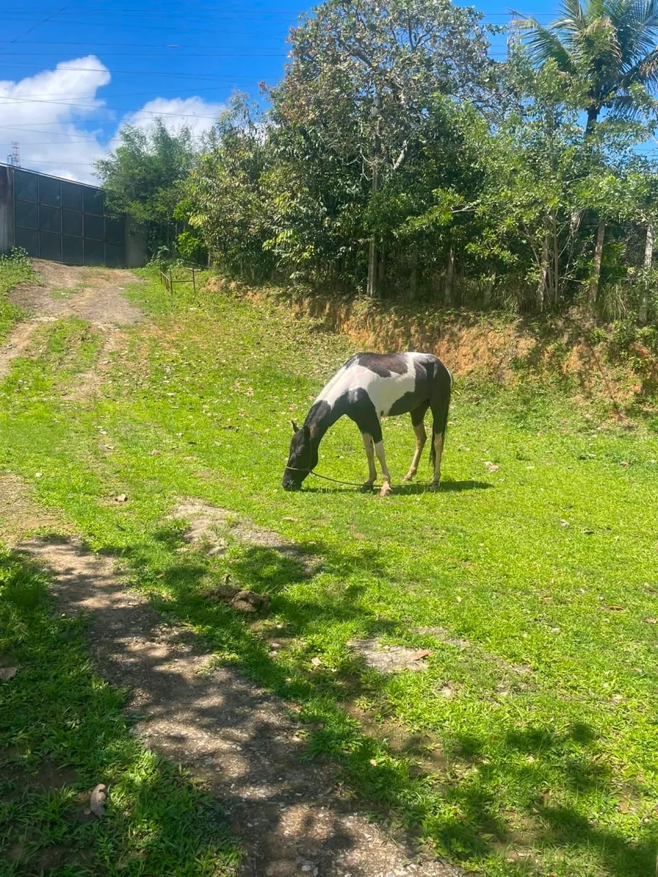 Pra vender  - Foto 2