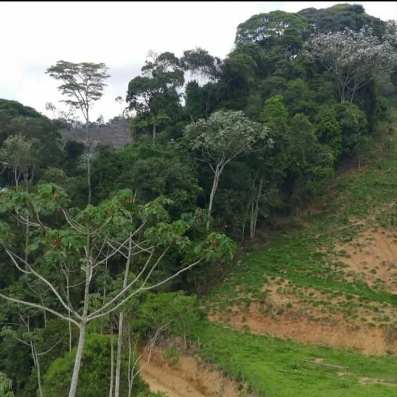 Terreno Parajú  - Foto 2