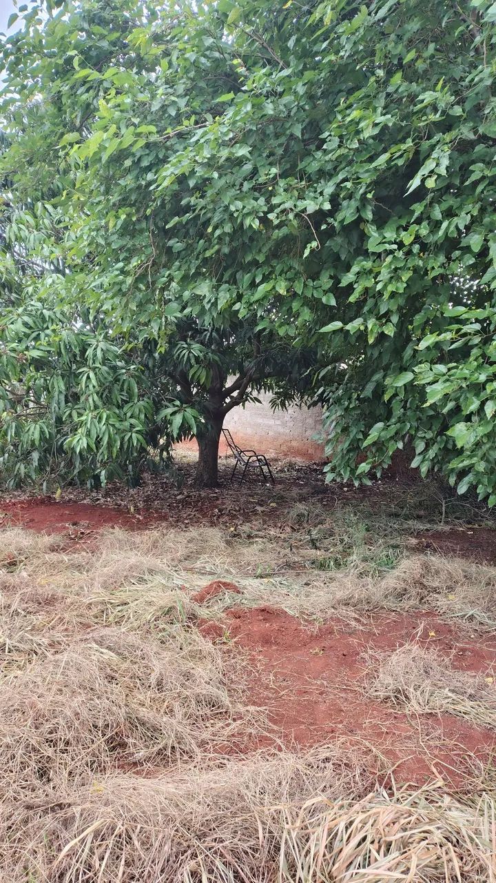 Terreno 1000 metros  - Foto 3
