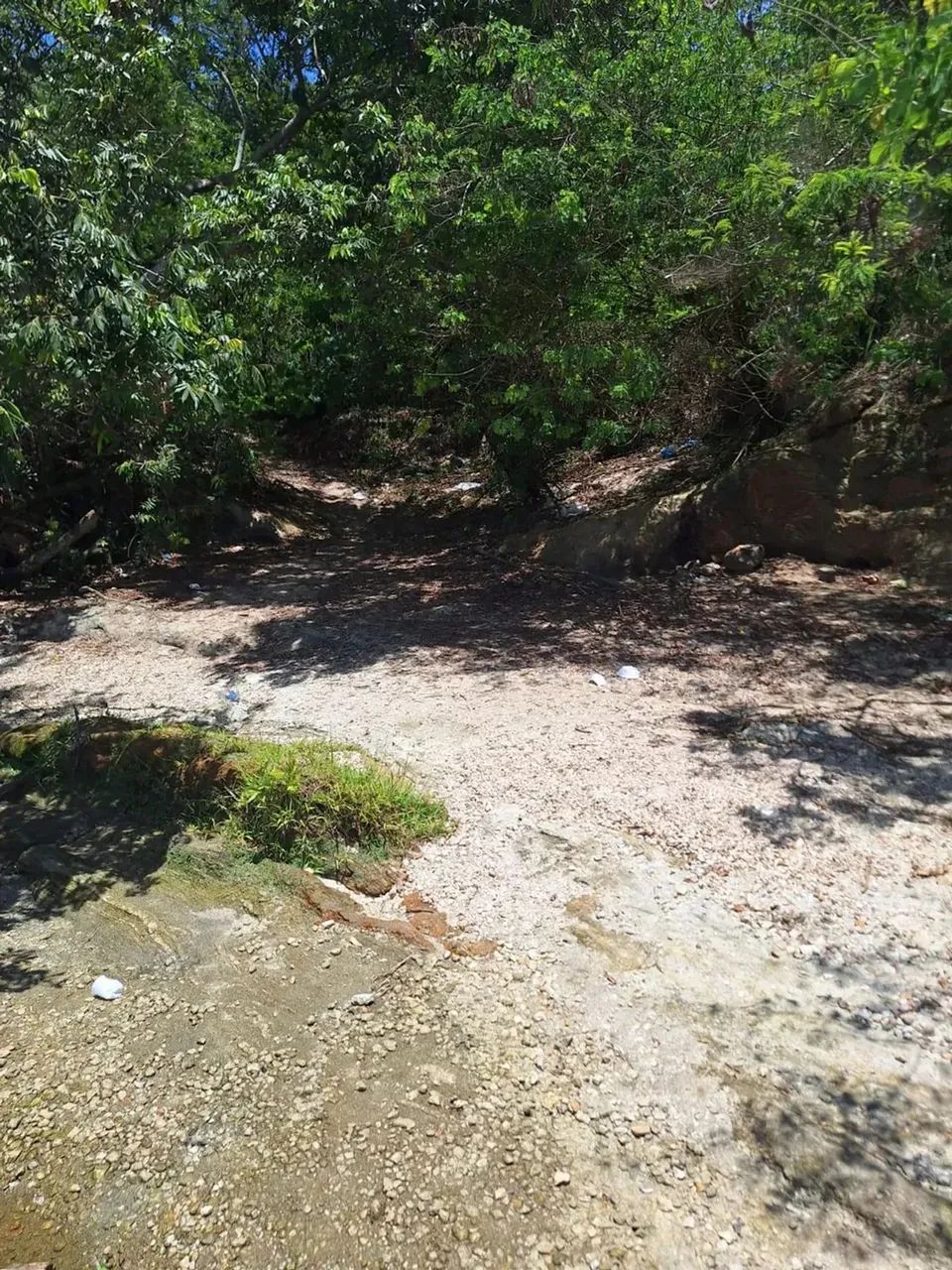 sítio com 14.000m² - Foto 7