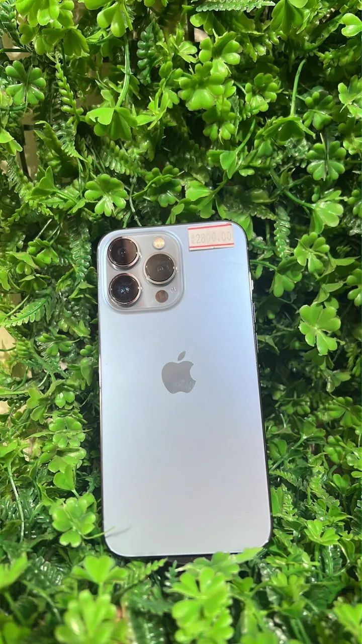 13 pro 