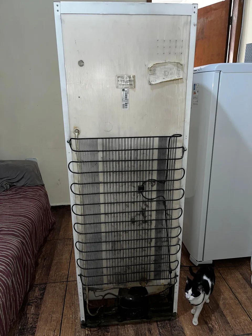 Geladeira Electrolux modelo DC33  - Foto 4