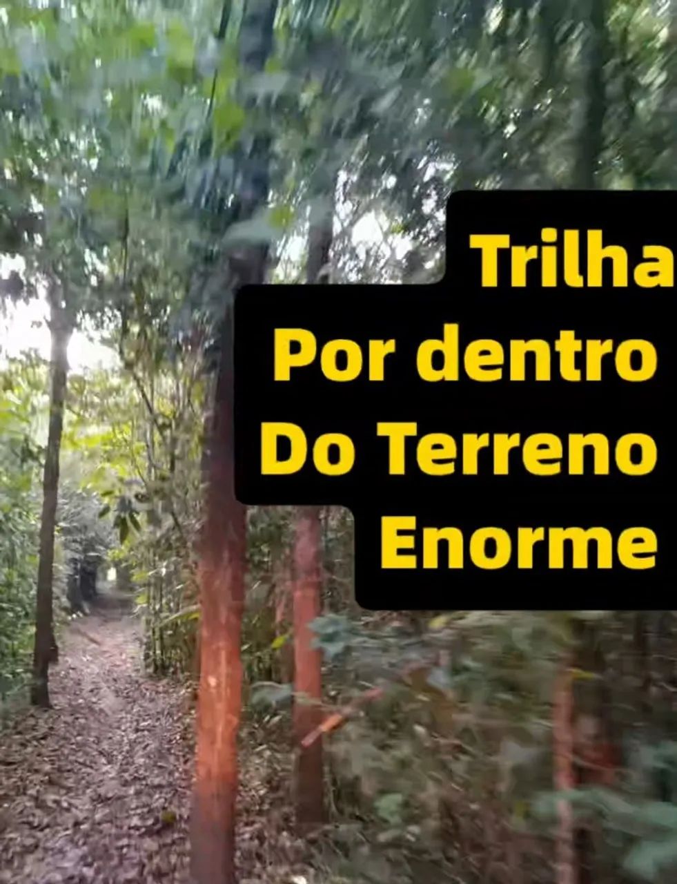 Sítio Em Rosário-MA a 600m da BR 402 - Foto 5