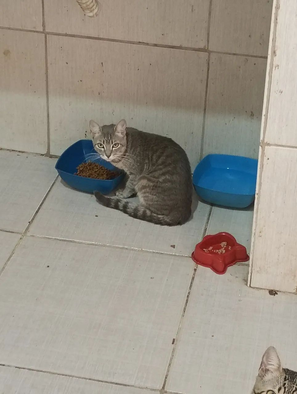 Doação - Foto 4