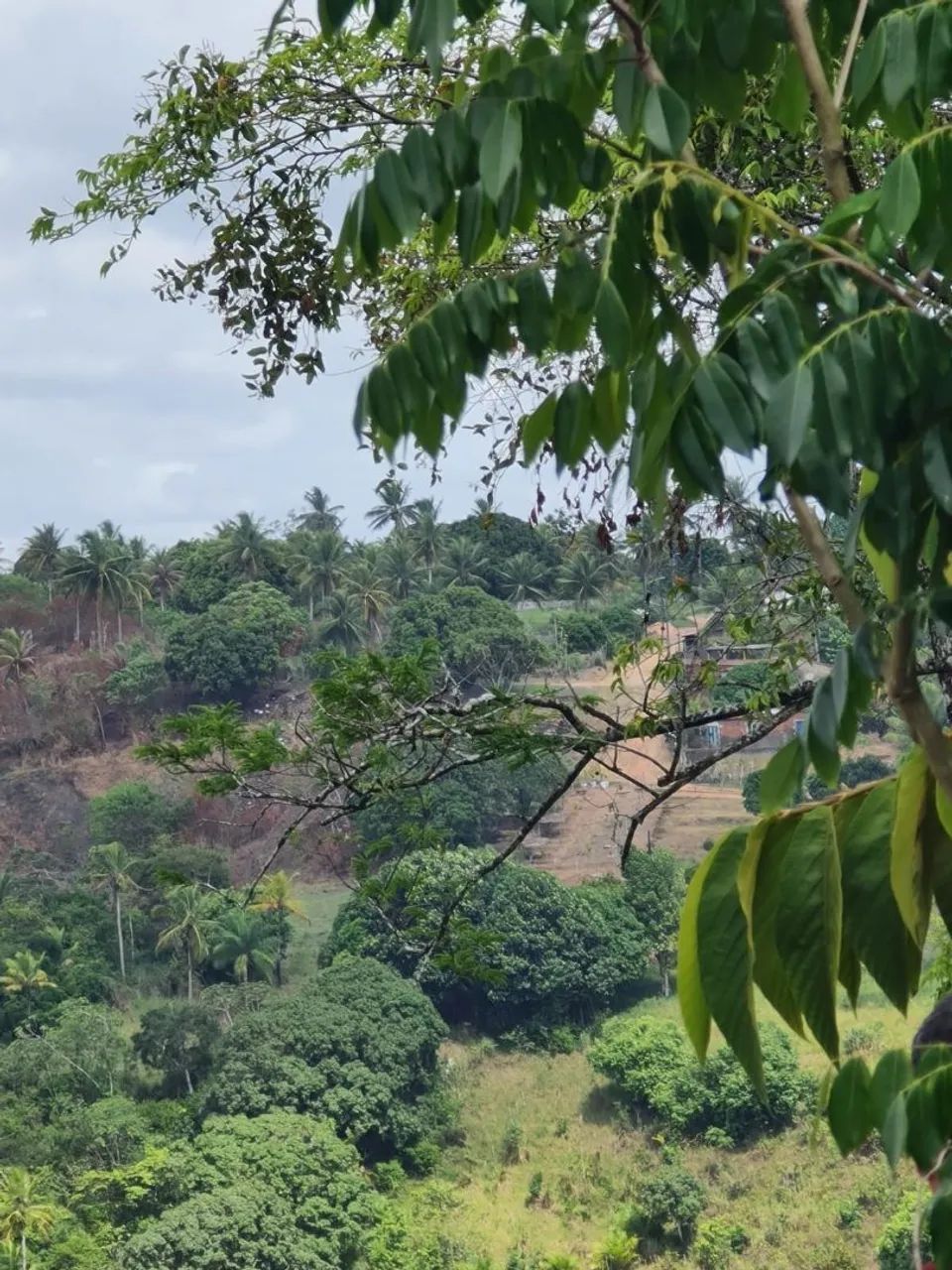 Vendo terreno em Igarassu  - Foto 3