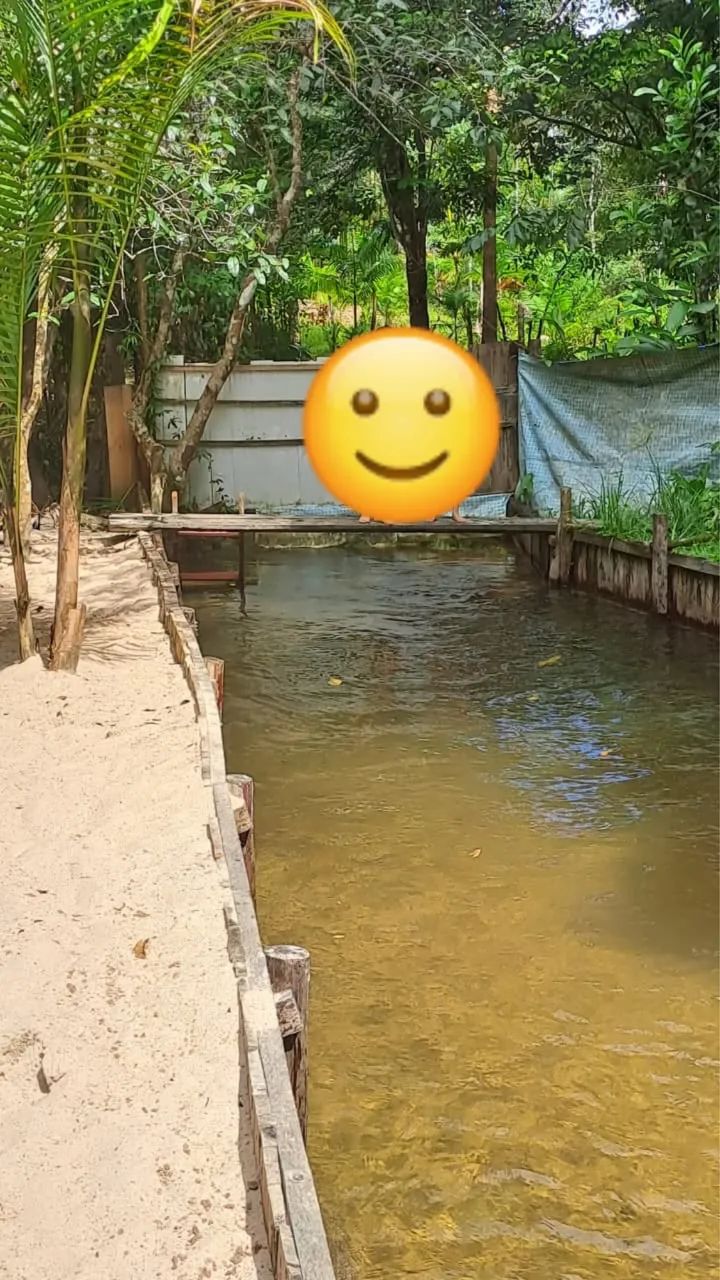 Vendo sítio em Marapanim  - Foto 4