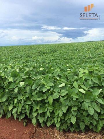 Fazenda à venda, * m² por R$ 125.000.000 - Vila Bom Jardim - Nobres/MT - Foto 6