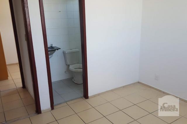 Apartamento à venda com 3 dormitórios em Monsenhor messias, Belo horizonte cod:245421 - Foto 7