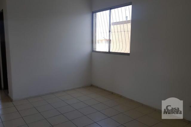 Apartamento à venda com 3 dormitórios em Monsenhor messias, Belo horizonte cod:245421 - Foto 2