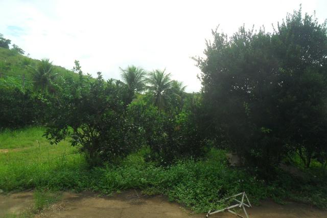 Fazenda 35 alqueires em colatina - Foto 7