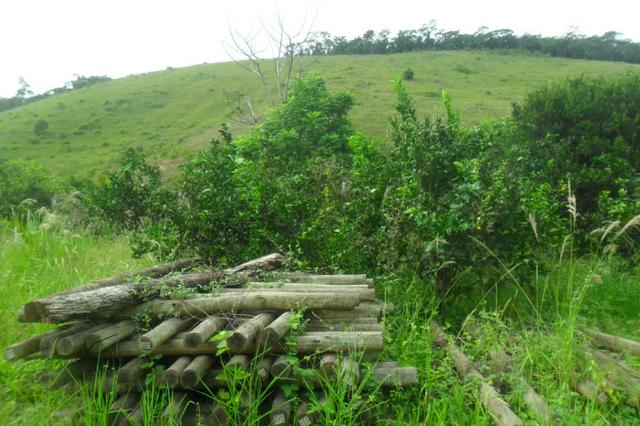 Fazenda 35 alqueires em colatina - Foto 8