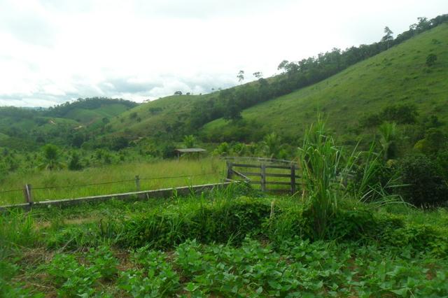 Fazenda 35 alqueires em colatina - Foto 6