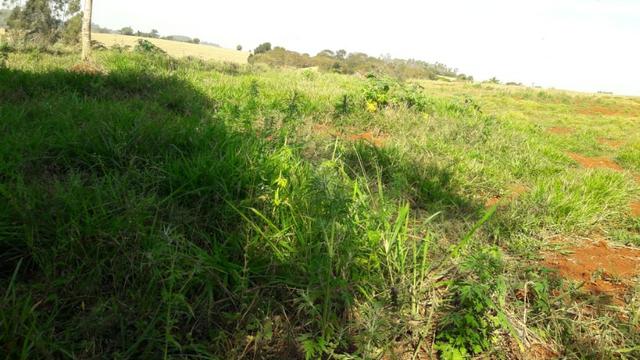 6km do Shopping Catuai, 1000m² em Londrina - Foto 4