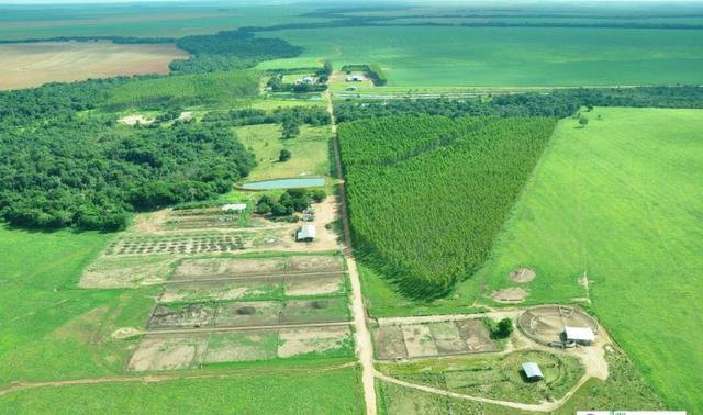 5200 HA arrendamento Primavera do Leste MT P/SOJA - Foto 4