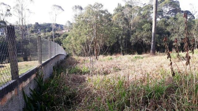 Chácara com 5.000 m², Agarau, São José dos Pinhais só R$349.500,00 - Foto 12