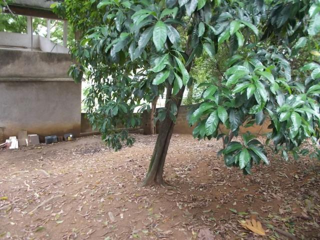 Excelente oportunidade em Campo Grande, Cariacica - Foto 10