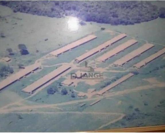 Granja em arealva s/p - Foto 3