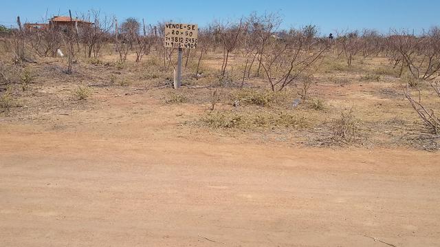 Lote - Foto 4