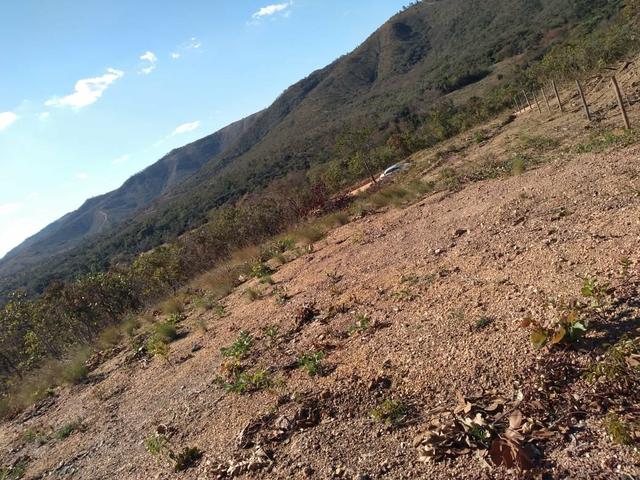 Chácara 2.000M² próximo de Baldim - Foto 2