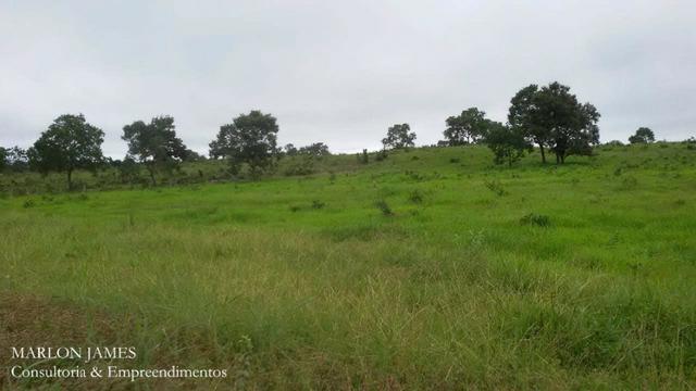 Fazenda próximo a Aragarças e 30 km de Ponte Alta para gado e lazer! - Foto 8