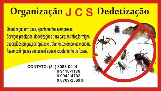 Dedetização