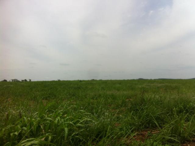 Itapetininga-Sp, Fazenda 90 Alqueires - Foto 2