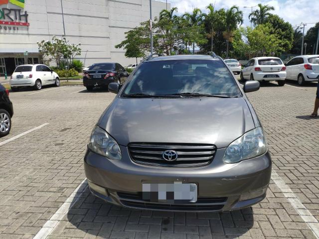 Corolla Fielder