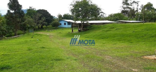 Fazenda a venda antonina com 105,2 alqueires, casa sede em 3 pavimentos, com grande capaci - Foto 7