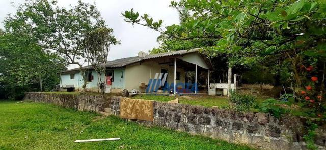 Fazenda a venda antonina com 105,2 alqueires, casa sede em 3 pavimentos, com grande capaci - Foto 8