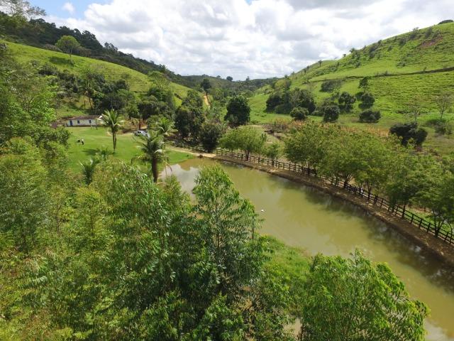 Fazenda 400 Hectares - 5 Nascentes no Município de Colonia - Foto 15
