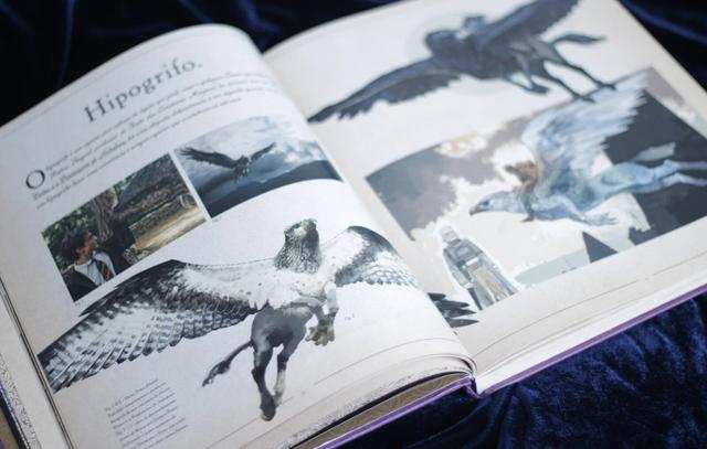 O Livro Das Criaturas De Harry Potter - Foto 3