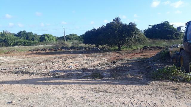 Terreno