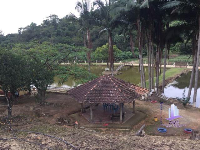 Excelente Sítio com 02 casas p/morar COD. 84 - Foto 8